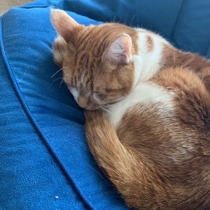 Meet your Posher, Deserae